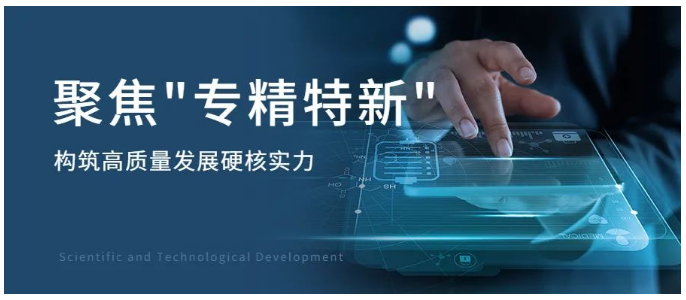 星光传动专精特新及细分行业龙头企业的成长之路