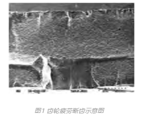 工程机械变速箱齿轮断齿失效分析